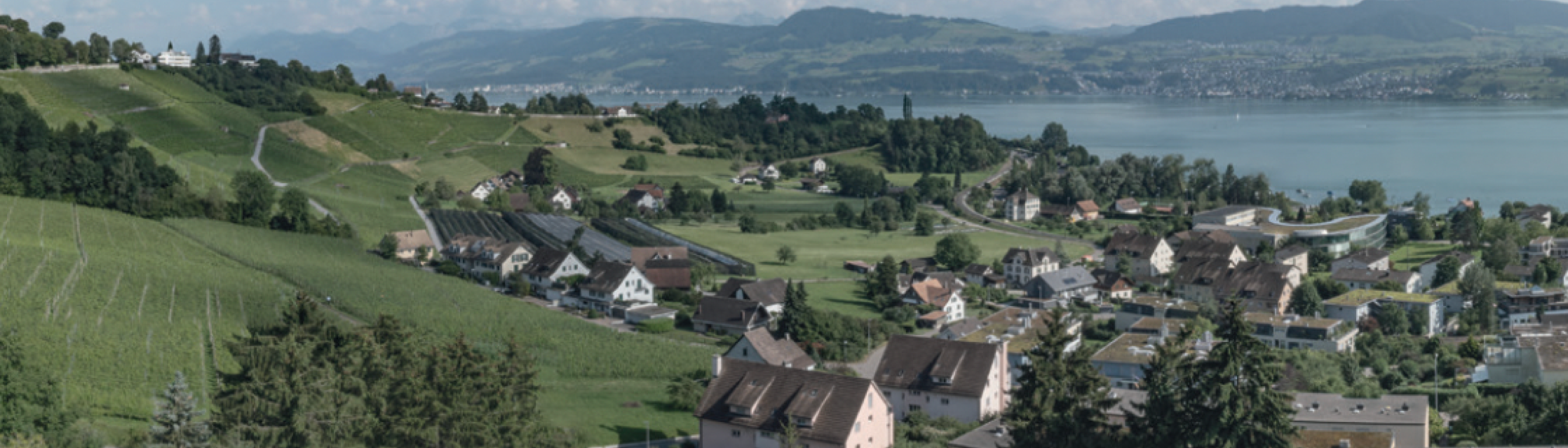 Modern residential development showcasing ActivaSwiss sustainable architecture and design principles